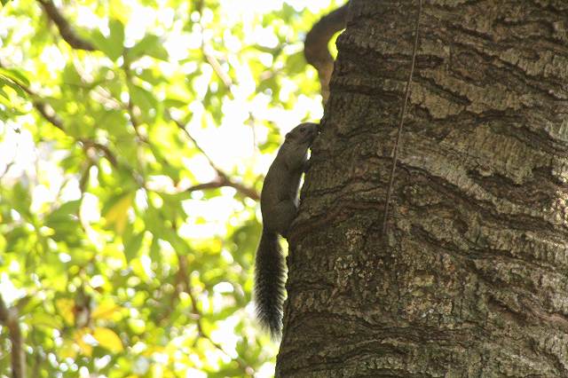 f:id:yuuko1220:20181011103437j:plain f:id:yuuko1220:20181011103437j:plain