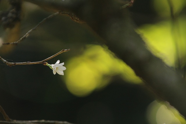 f:id:yuuko1220:20181011103448j:plain f:id:yuuko1220:20181011103448j:plain