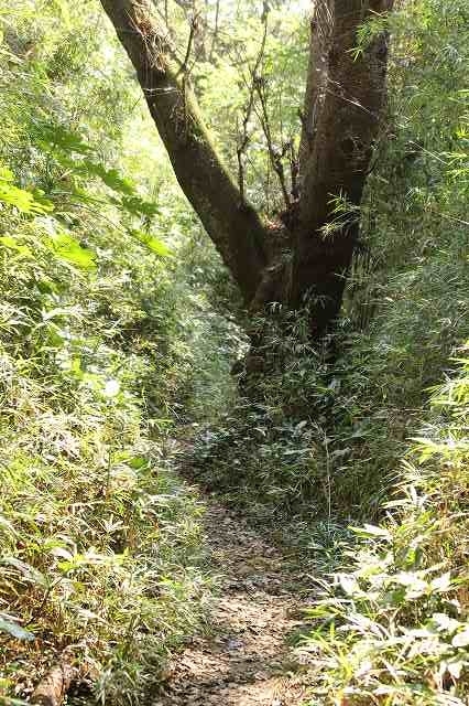 f:id:yuuko1220:20181011153732j:plain f:id:yuuko1220:20181011153732j:plain