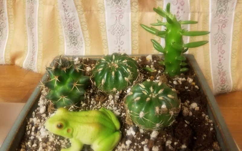 f:id:yuuko1220:20181015204923j:plain f:id:yuuko1220:20181015204923j:plain