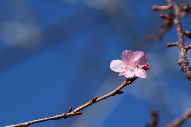 f:id:yuuko1220:20181116213757j:plain f:id:yuuko1220:20181116213757j:plain