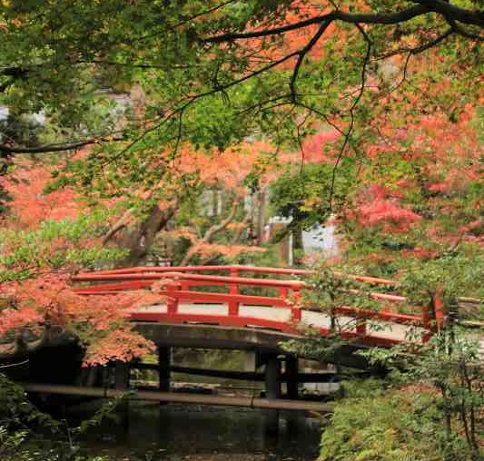 f:id:yuuko1220:20181209224814j:plain f:id:yuuko1220:20181209224814j:plain