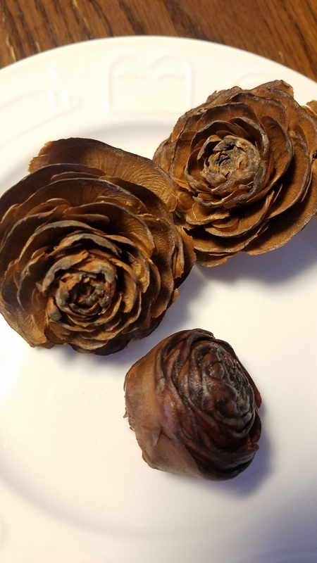f:id:yuuko1220:20190101195747j:plain f:id:yuuko1220:20190101195747j:plain