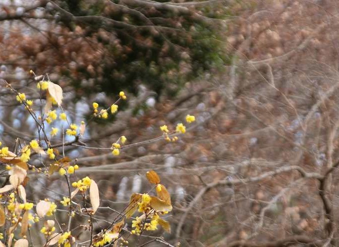 f:id:yuuko1220:20190107144756j:plain f:id:yuuko1220:20190107144756j:plain