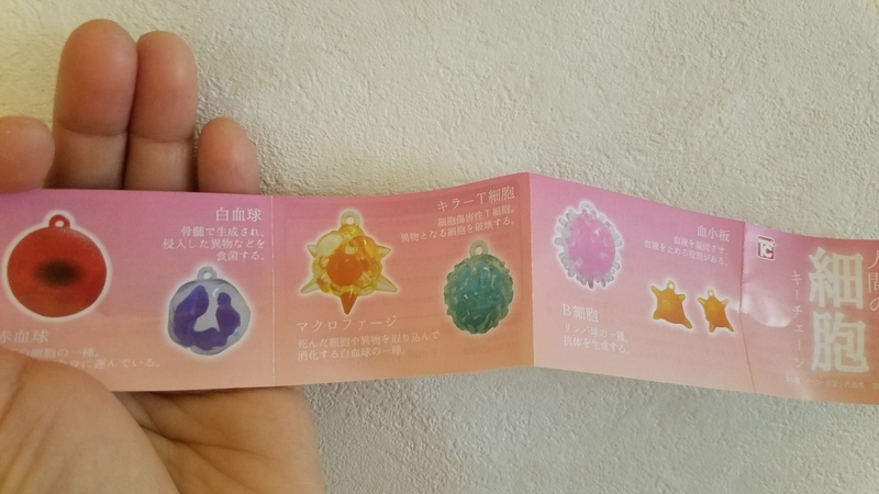 f:id:yuuko1220:20190118170139j:plain f:id:yuuko1220:20190118170139j:plain