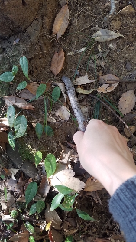 f:id:yuuko1220:20190124075829j:plain f:id:yuuko1220:20190124075829j:plain
