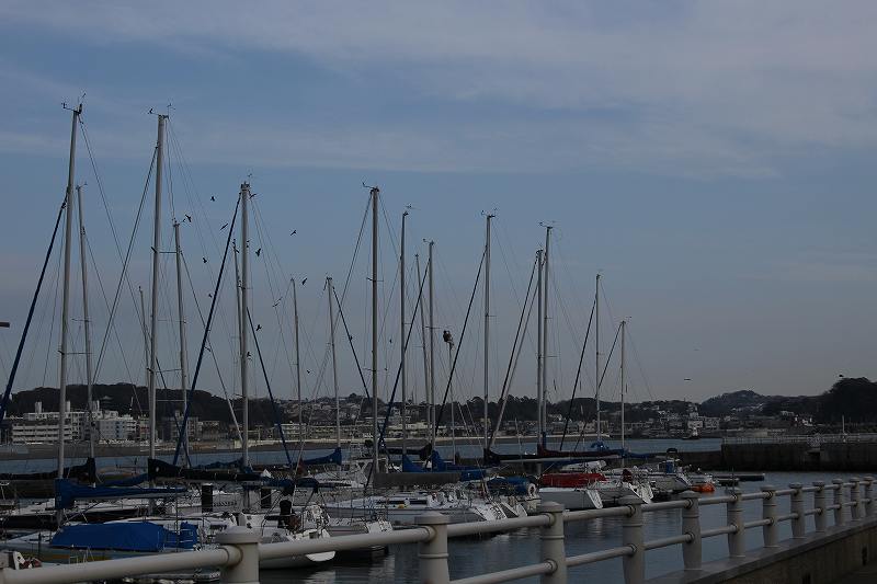 f:id:yuuko1220:20190202181357j:plain