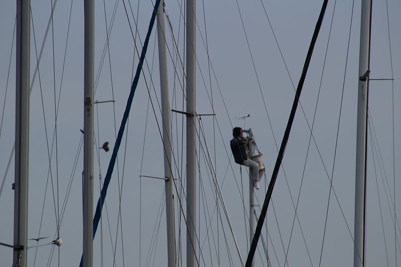 f:id:yuuko1220:20190202181358j:plain