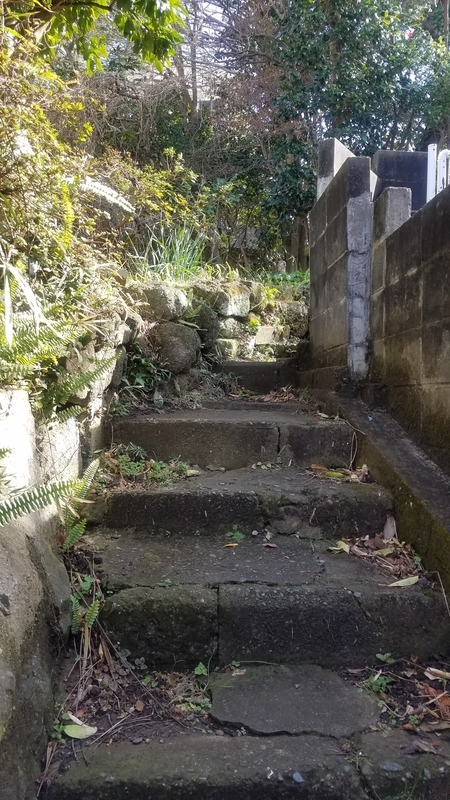 f:id:yuuko1220:20190208204750j:plain f:id:yuuko1220:20190208204750j:plain