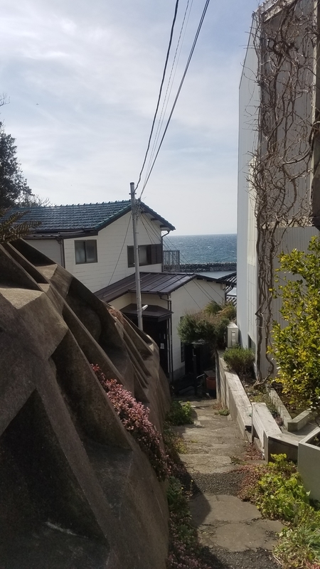 f:id:yuuko1220:20190208204752j:plain f:id:yuuko1220:20190208204752j:plain
