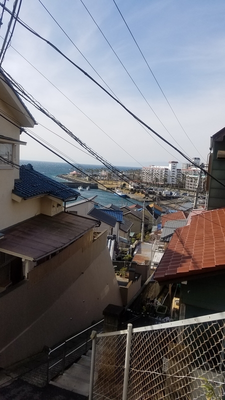 f:id:yuuko1220:20190208204756j:plain f:id:yuuko1220:20190208204756j:plain