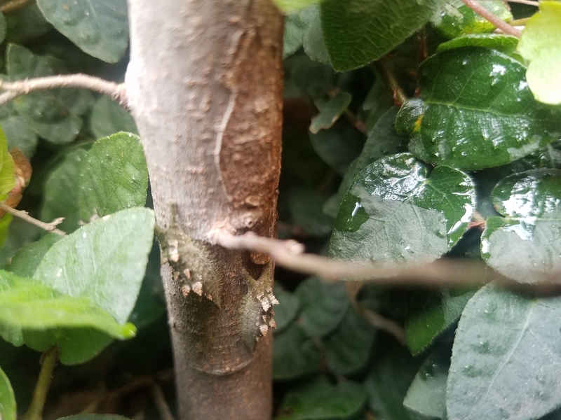 f:id:yuuko1220:20190226150339j:plain f:id:yuuko1220:20190226150339j:plain