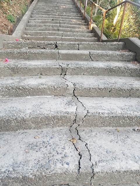 f:id:yuuko1220:20190304083342j:plain f:id:yuuko1220:20190304083342j:plain