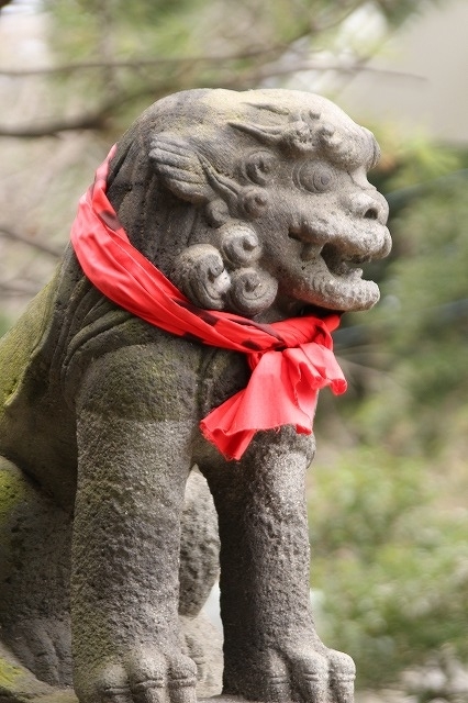 f:id:yuuko1220:20190314201400j:plain f:id:yuuko1220:20190314201400j:plain
