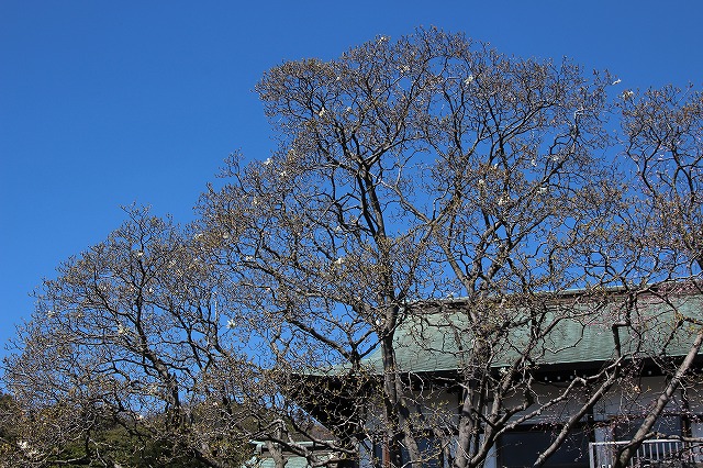 f:id:yuuko1220:20190331074320j:plain f:id:yuuko1220:20190331074320j:plain