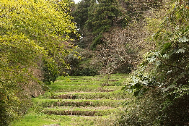 f:id:yuuko1220:20190331074330j:plain