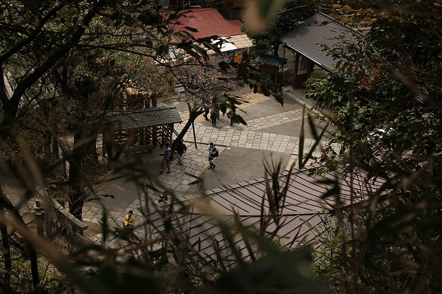 f:id:yuuko1220:20190331142109j:plain f:id:yuuko1220:20190331142109j:plain