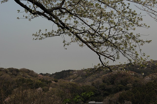 f:id:yuuko1220:20190331145531j:plain f:id:yuuko1220:20190331145531j:plain