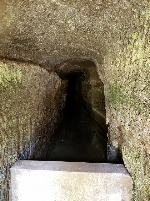 f:id:yuuko1220:20190415221818j:plain f:id:yuuko1220:20190415221818j:plain