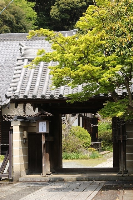 f:id:yuuko1220:20190415221851j:plain f:id:yuuko1220:20190415221851j:plain