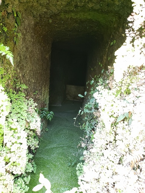 f:id:yuuko1220:20190429201454j:plain f:id:yuuko1220:20190429201454j:plain