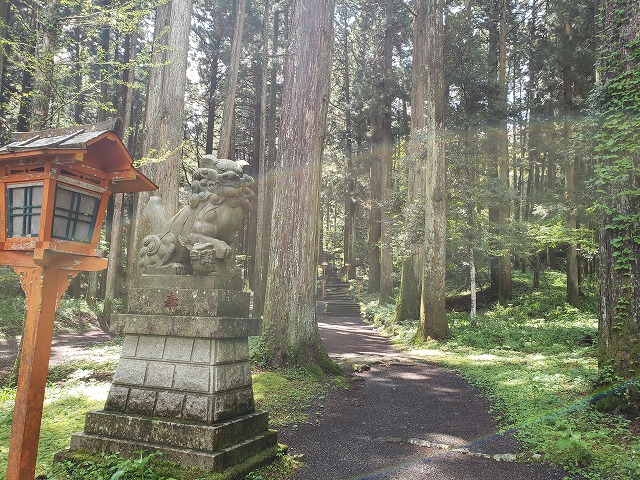 f:id:yuuko1220:20190505211442j:plain f:id:yuuko1220:20190505211442j:plain