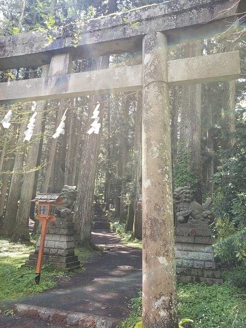 f:id:yuuko1220:20190505211443j:plain f:id:yuuko1220:20190505211443j:plain