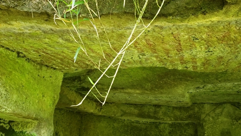f:id:yuuko1220:20190509192633j:plain f:id:yuuko1220:20190509192633j:plain