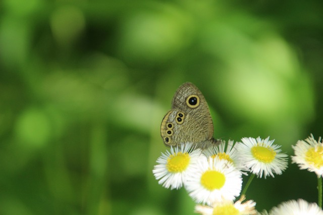 f:id:yuuko1220:20190515214447j:plain f:id:yuuko1220:20190515214447j:plain