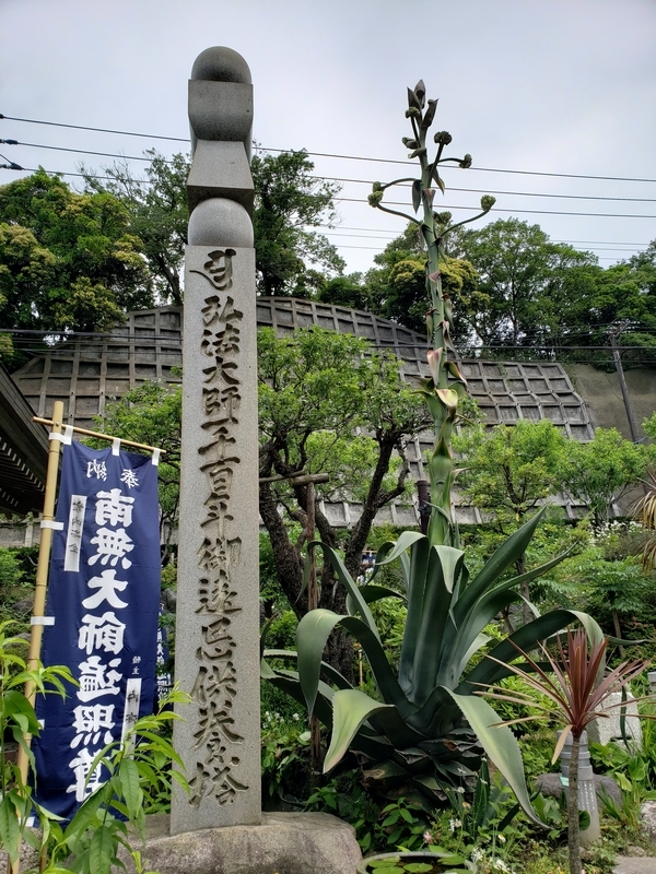 f:id:yuuko1220:20190523120136j:plain f:id:yuuko1220:20190523120136j:plain