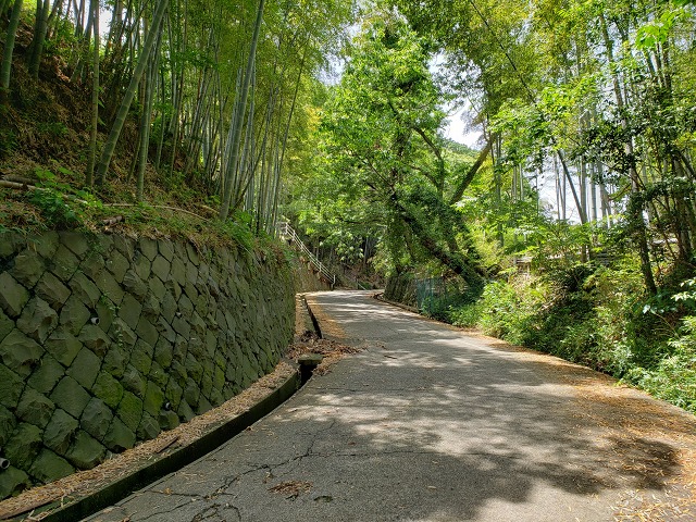 f:id:yuuko1220:20190529160641j:plain