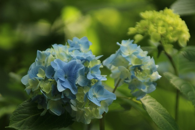 f:id:yuuko1220:20190529160659j:plain f:id:yuuko1220:20190529160659j:plain