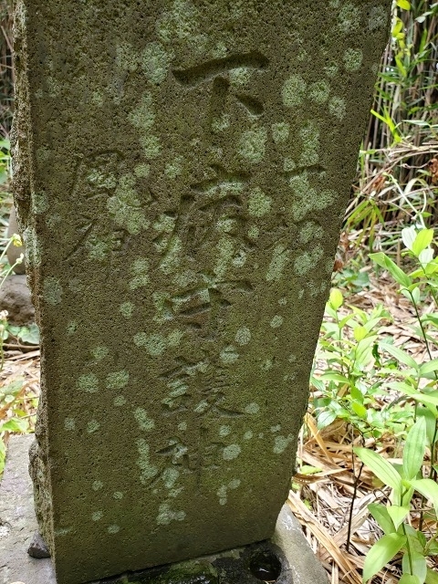 f:id:yuuko1220:20190603090311j:plain f:id:yuuko1220:20190603090311j:plain