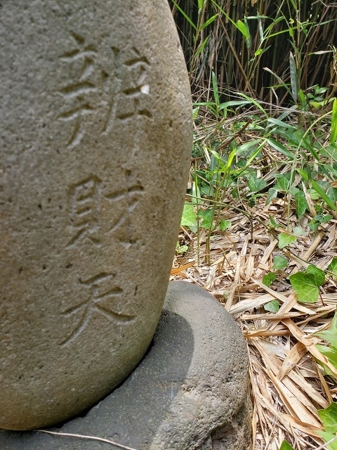 f:id:yuuko1220:20190603090316j:plain f:id:yuuko1220:20190603090316j:plain