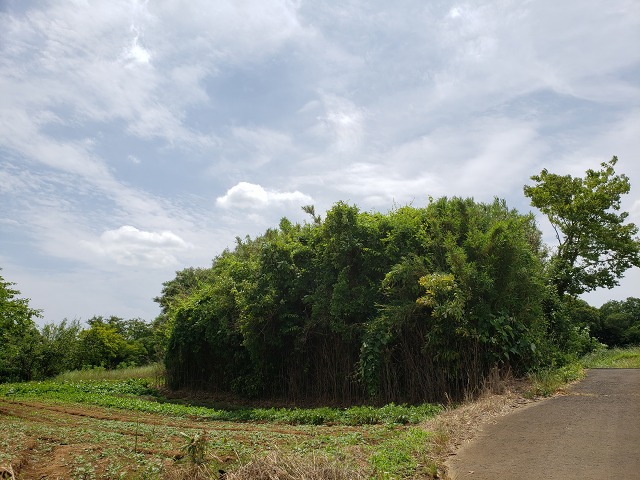 f:id:yuuko1220:20190603090319j:plain