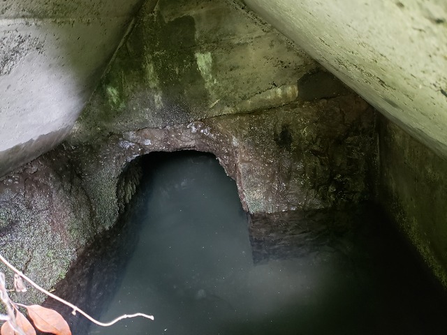 f:id:yuuko1220:20190603090323j:plain f:id:yuuko1220:20190603090323j:plain
