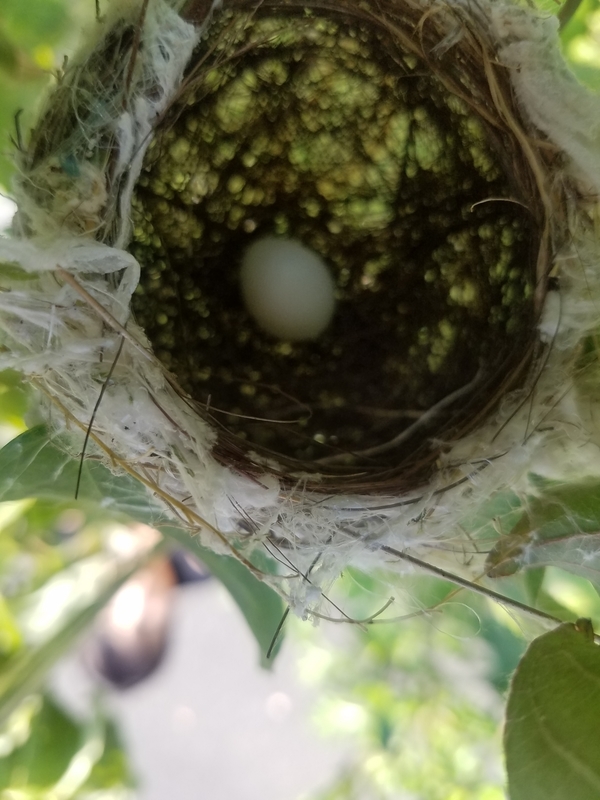 f:id:yuuko1220:20190603091718j:plain