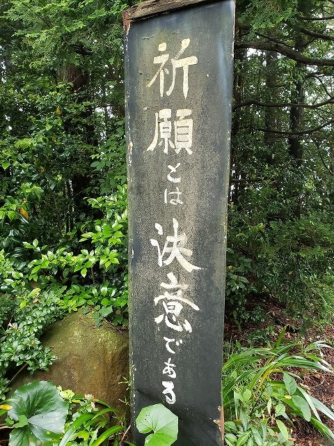 f:id:yuuko1220:20190612203500j:plain f:id:yuuko1220:20190612203500j:plain