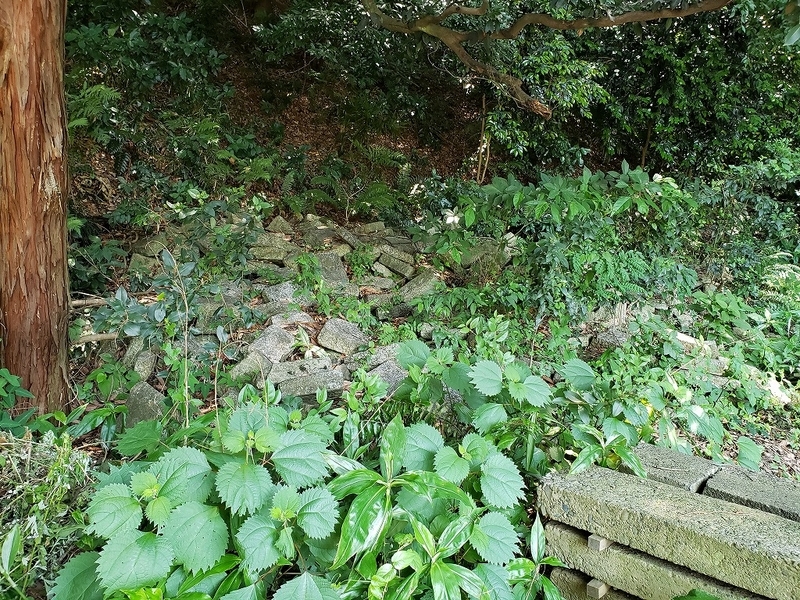 f:id:yuuko1220:20190619212955j:plain f:id:yuuko1220:20190619212955j:plain