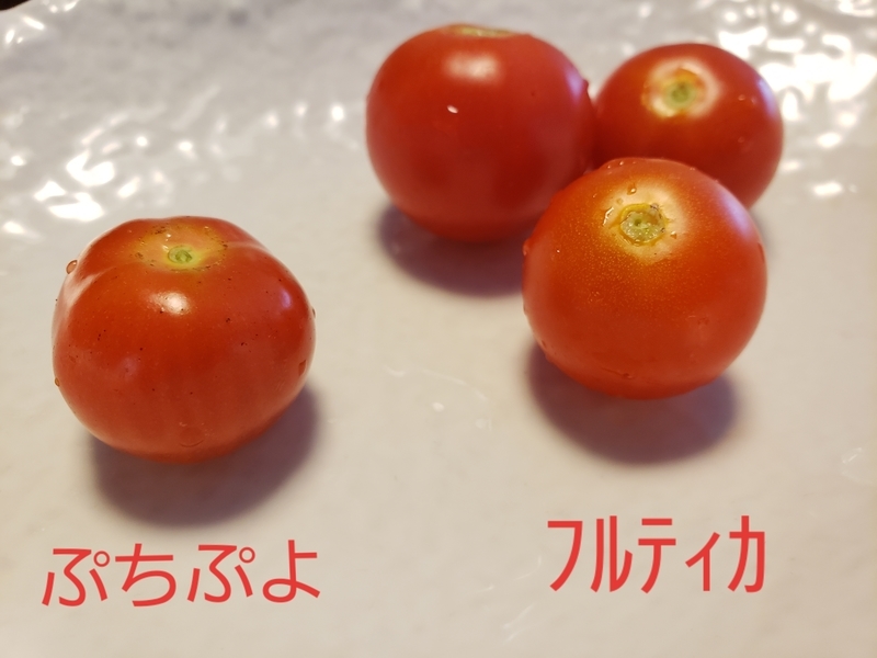 f:id:yuuko1220:20190624090555j:plain f:id:yuuko1220:20190624090555j:plain