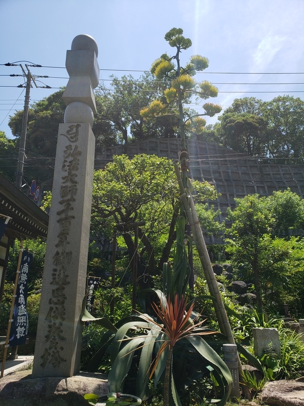 f:id:yuuko1220:20190626220447j:plain f:id:yuuko1220:20190626220447j:plain