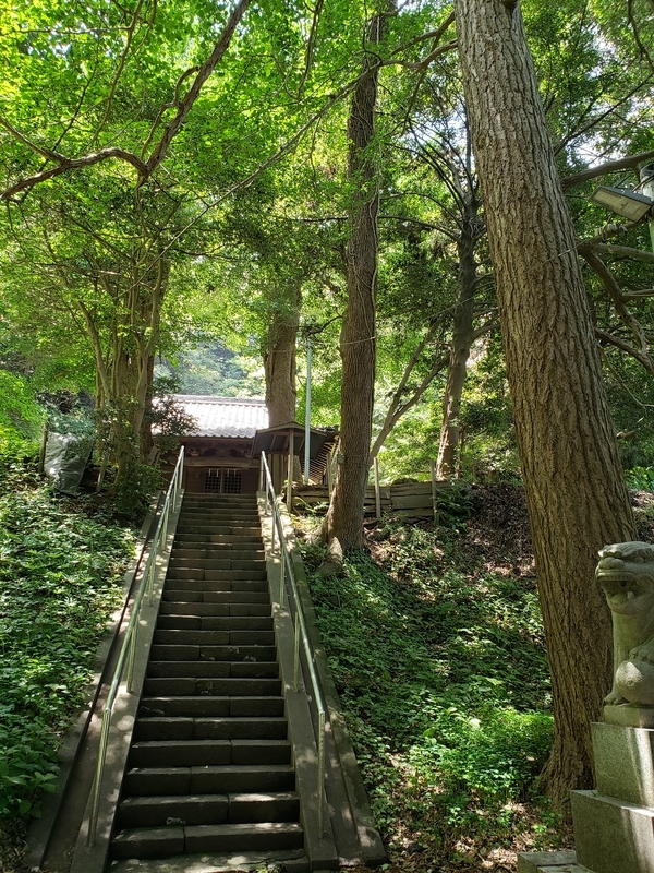 f:id:yuuko1220:20190626220558j:plain f:id:yuuko1220:20190626220558j:plain