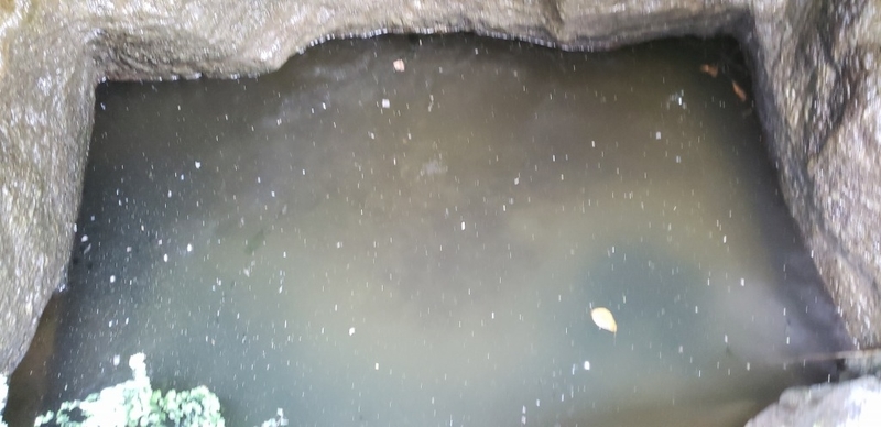 f:id:yuuko1220:20190710231350j:plain f:id:yuuko1220:20190710231350j:plain