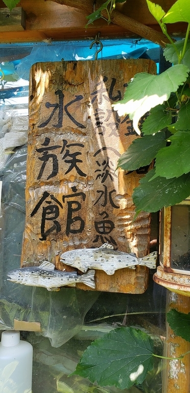f:id:yuuko1220:20190726204955j:plain f:id:yuuko1220:20190726204955j:plain