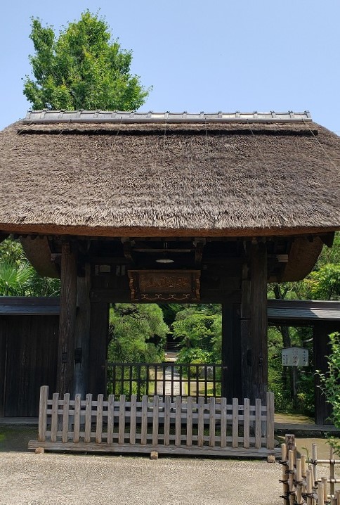 f:id:yuuko1220:20190726205118j:plain f:id:yuuko1220:20190726205118j:plain