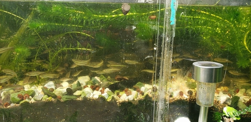 f:id:yuuko1220:20190726205250j:plain f:id:yuuko1220:20190726205250j:plain