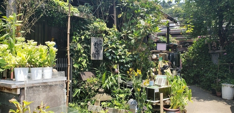 f:id:yuuko1220:20190726205255j:plain f:id:yuuko1220:20190726205255j:plain