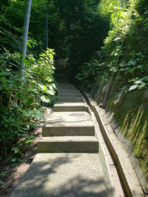 f:id:yuuko1220:20190726205313j:plain f:id:yuuko1220:20190726205313j:plain