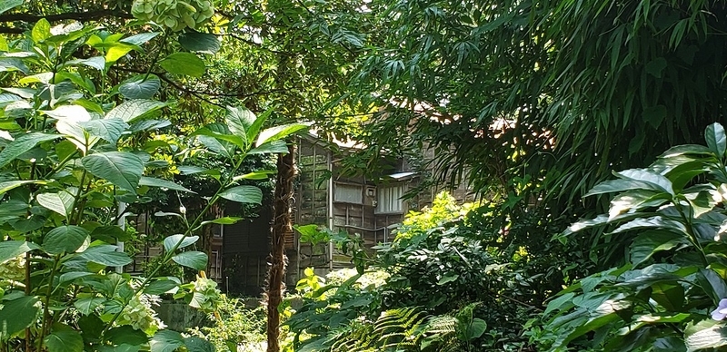 f:id:yuuko1220:20190726205329j:plain f:id:yuuko1220:20190726205329j:plain