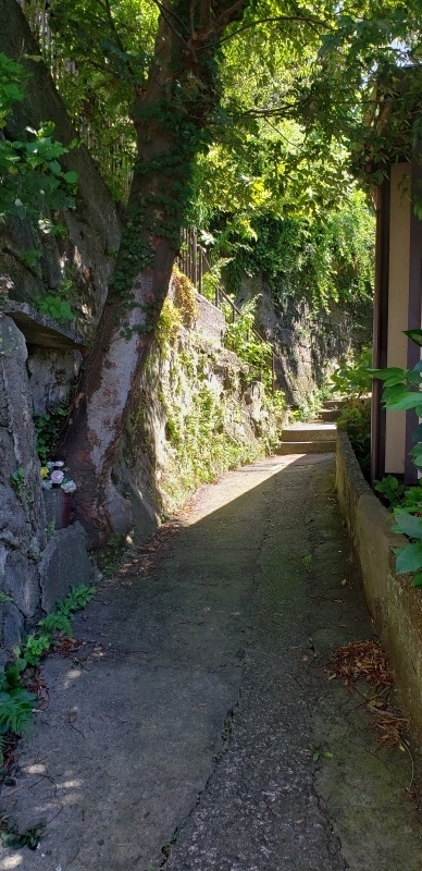 f:id:yuuko1220:20190812072819j:plain f:id:yuuko1220:20190812072819j:plain